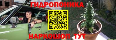Альфа ПВП Новозыбков