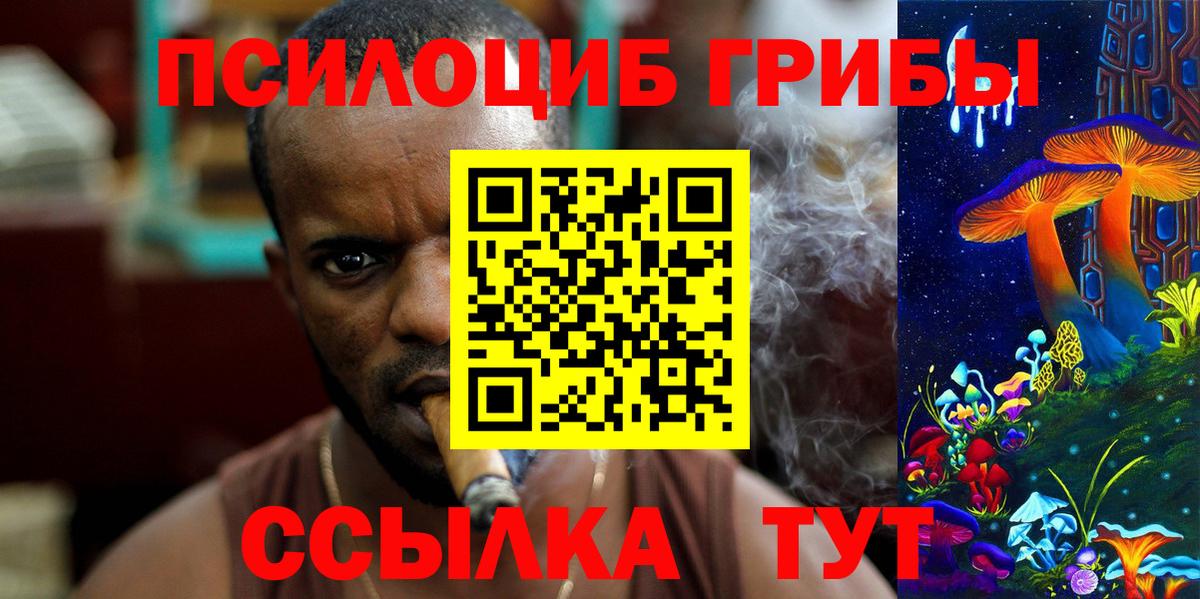 Галлюциногенные грибы Psilocybine cubensis Чусовой
