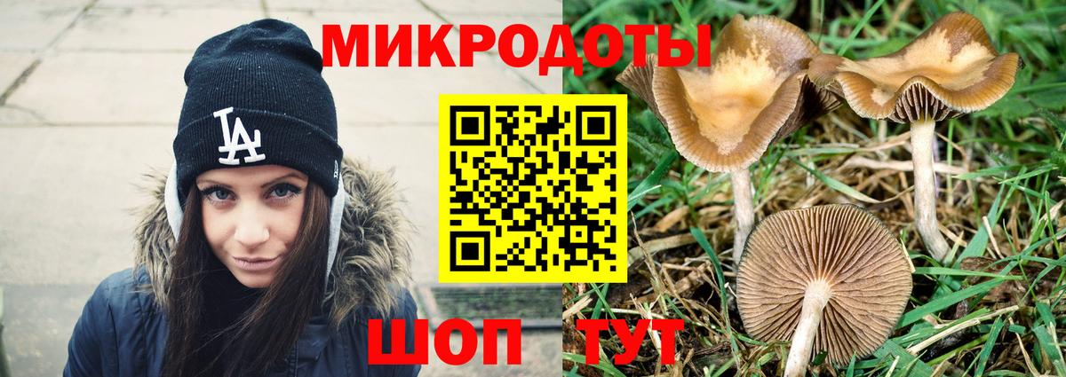 Псилоцибиновые грибы Psilocybe  Вход с VPN  Чусовой 